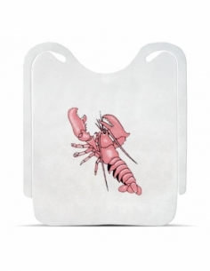 BAVAGLIO ADULTO | tnt...