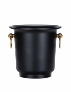 SECCHIELLO GHIACCIO |...