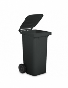 PATTUMIERA 120 LT |...