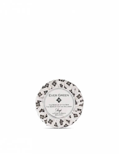 SAPONETTA VEGETALE 40 GR | EVERGREEN VIP