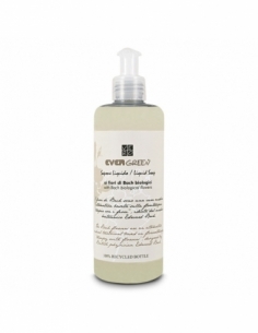 SAPONE LIQUIDO | EVERGREEN...